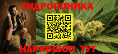 СК Рязань