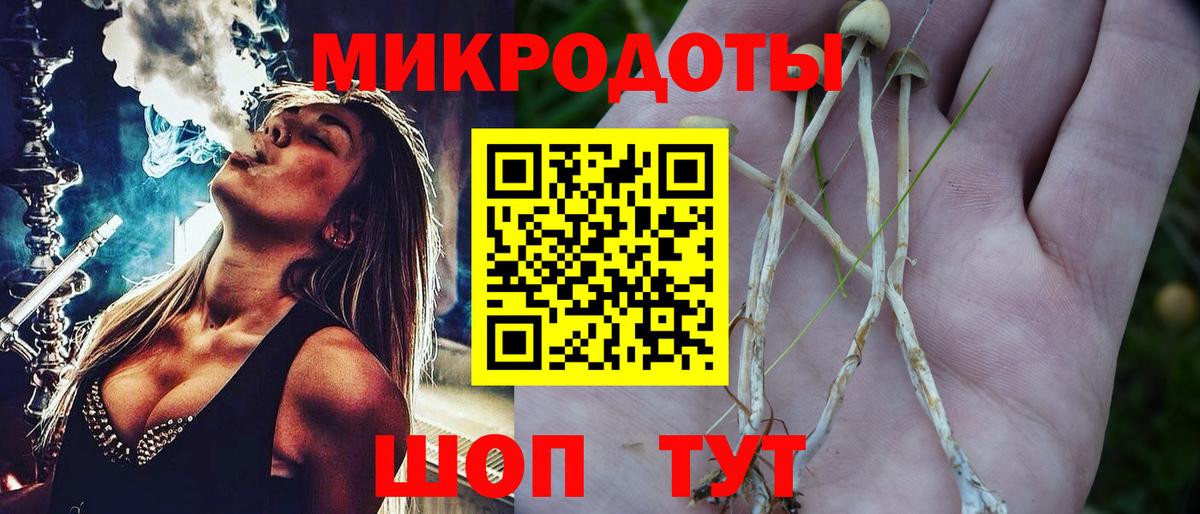 Псилоцибиновые грибы мицелий  Галлюциногенные грибы прущие грибы  Вход с VPN  Осинники 