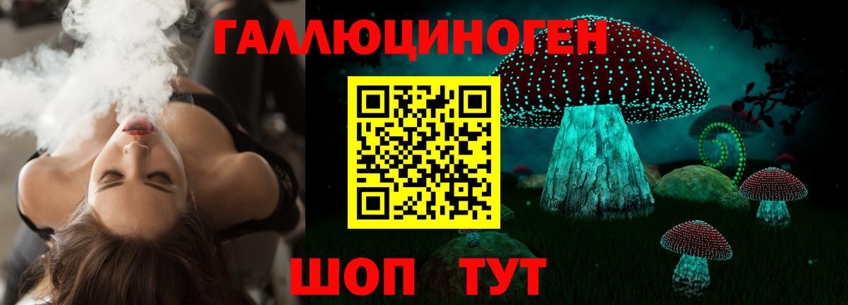 Псилоцибиновые грибы мицелий Осинники